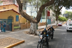 Recorrido-Domingo-de-Resurección-1