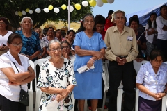 pampas-de-hospital-17