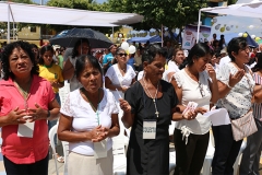 pampas-de-hospital-19