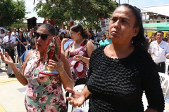 pampas-de-hospital-20