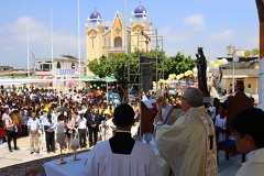 pampas-de-hospital-21