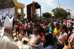 pampas-de-hospital-24