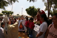 pampas-de-hospital-26