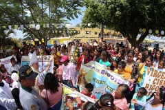 pampas-de-hospital-28