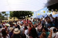 pampas-de-hospital-29