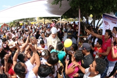 pampas-de-hospital-30