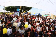 pampas-de-hospital-32