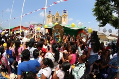 pampas-de-hospital-34