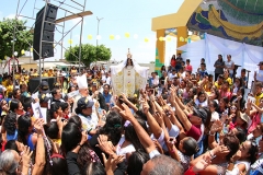 pampas-de-hospital-35