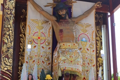 pampas-de-hospital-38