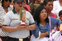 pampas-de-hospital-43