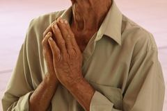 pampas-de-hospital-44